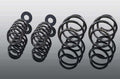 AC Schnitzer suspension spring kit for MINI F56 Cooper SE