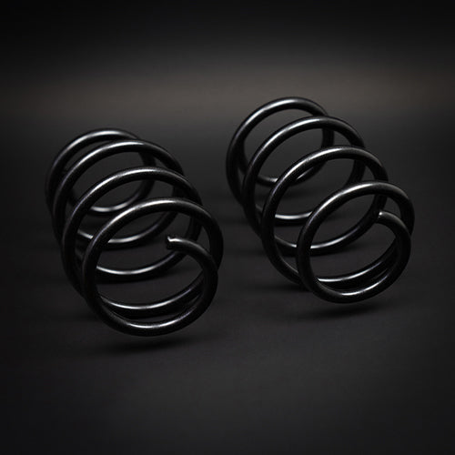 VW Golf VIII GTI_GTD 5H00 Kompakt 09-2020 Suspension springs